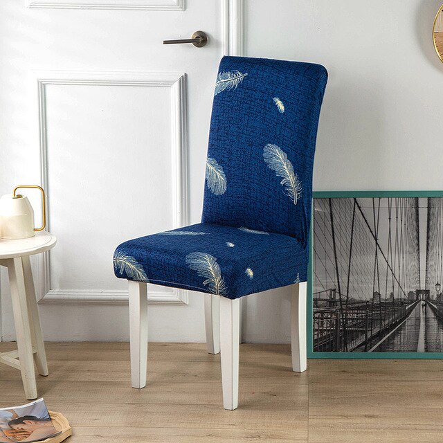 Gevederde Blauwe Stoelhoes