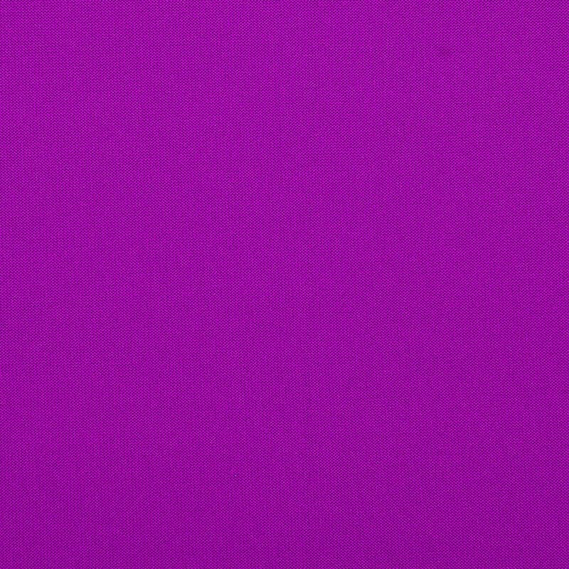 Paarse Grote Stoelhoes